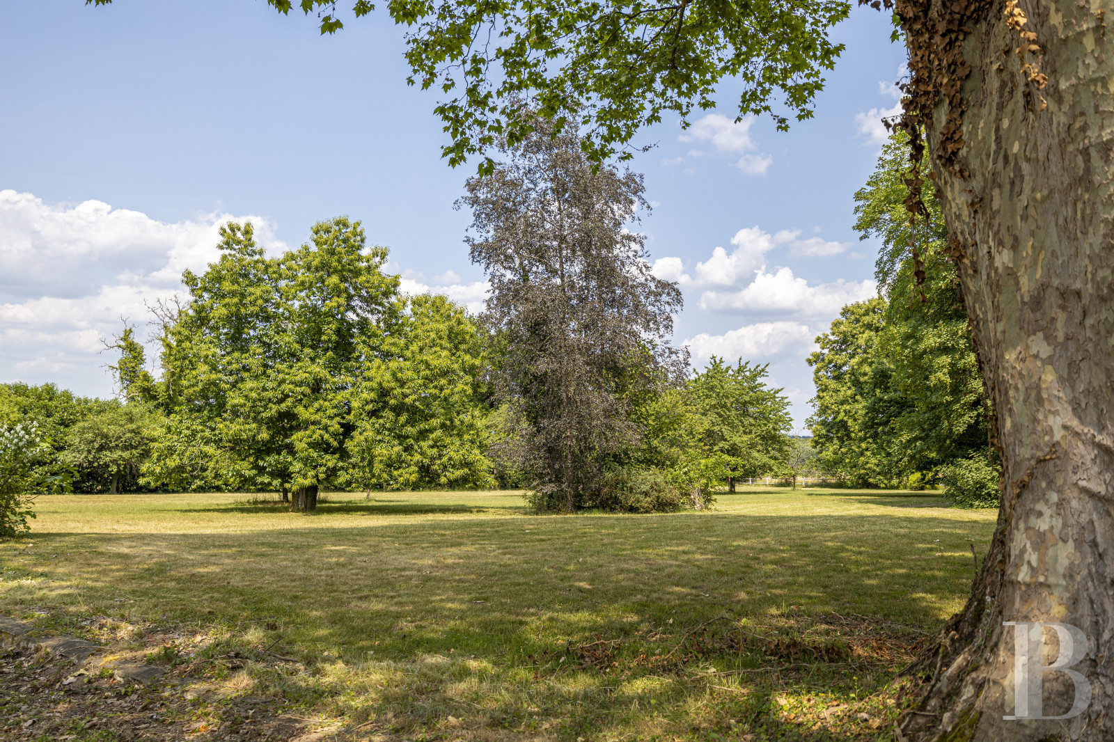 Au sud du Loiret, à Bonny-sur-Loire, un château d’inspiration Directoire entouré de bois - photo  n°40